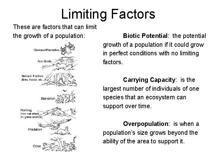 Limiting Factors These are factors that can limit the growth of a population: Biotic