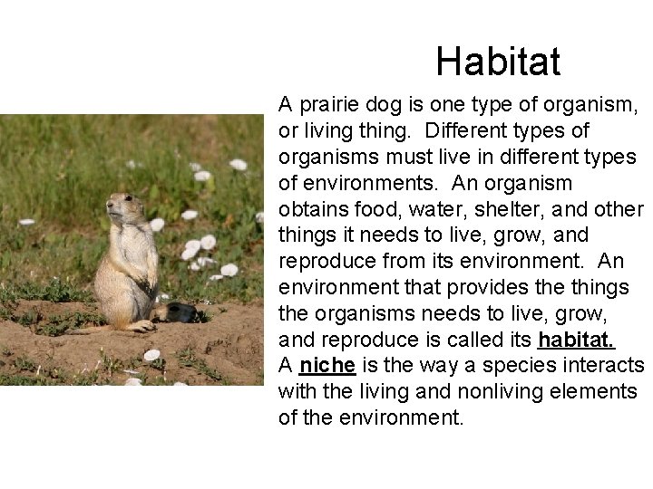 Habitat A prairie dog is one type of organism, or living thing. Different types