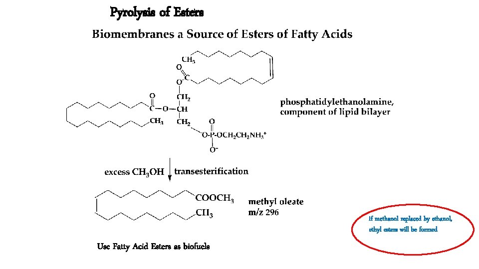 Pyrolysis of Esters if methanol replaced by ethanol, ethyl esters will be formed Use Pyrolysis of Esters if methanol replaced by ethanol, ethyl esters will be formed Use