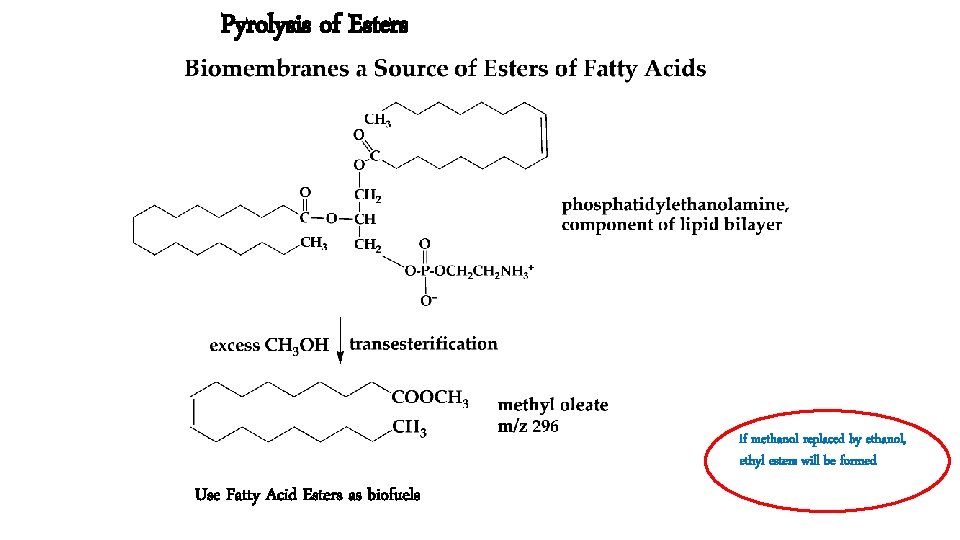 Pyrolysis of Esters if methanol replaced by ethanol, ethyl esters will be formed Use
