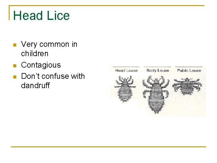 Head Lice n n n Very common in children Contagious Don’t confuse with dandruff