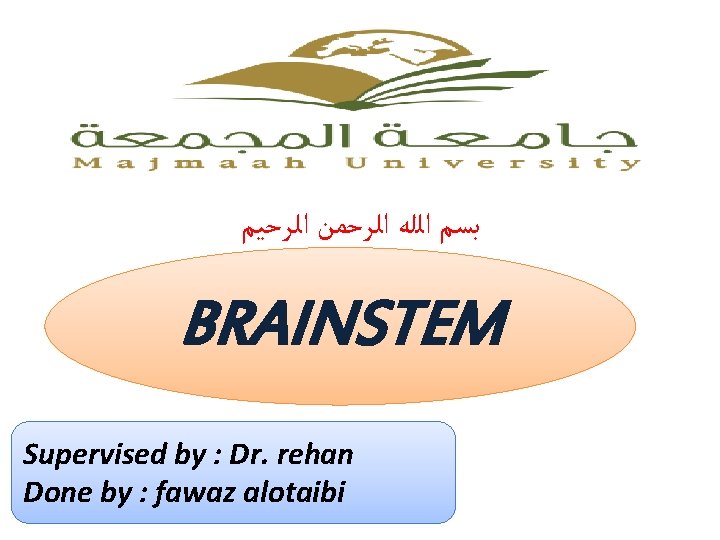  ﺑﺴﻢ ﺍﻟﻠﻪ ﺍﻟﺮﺣﻤﻦ ﺍﻟﺮﺣﻴﻢ BRAINSTEM Supervised by : Dr. rehan Done by :