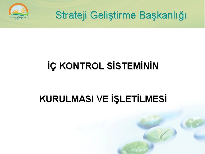 Strateji Geliştirme Başkanlığı İÇ KONTROL SİSTEMİNİN KURULMASI VE İŞLETİLMESİ 