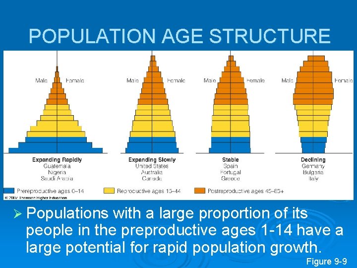 POPULATION AGE STRUCTURE Ø Populations with a large proportion of its people in the