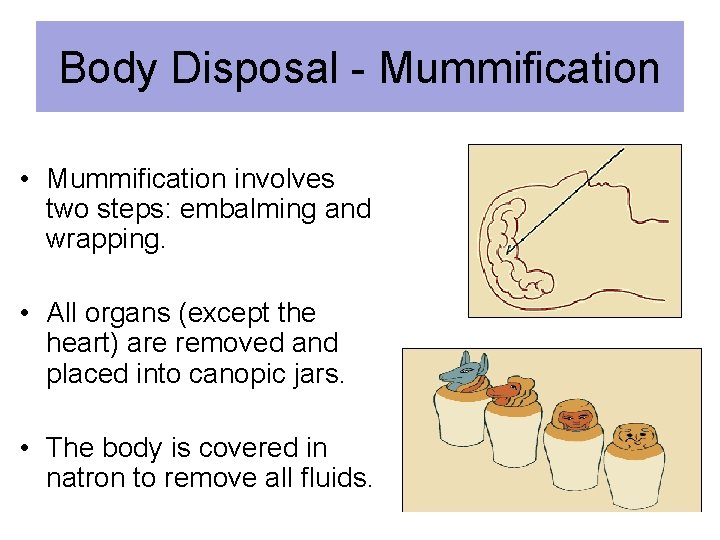 Body Disposal - Mummification • Mummification involves two steps: embalming and wrapping. • All
