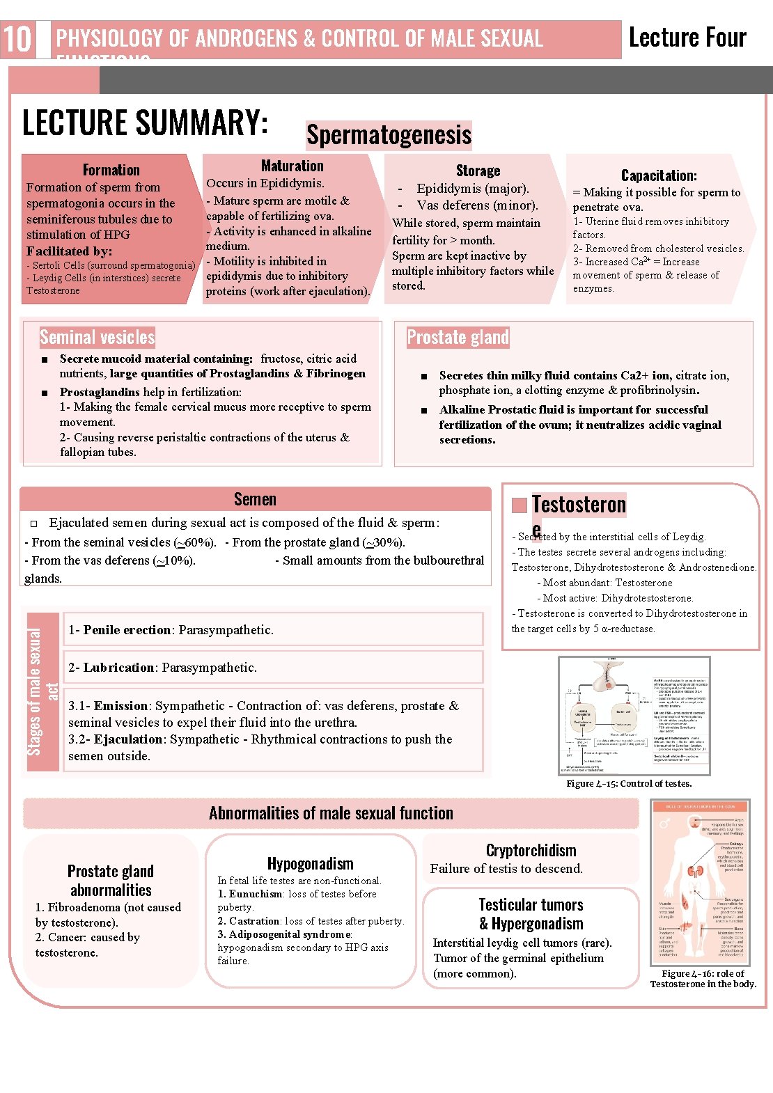 10 Lecture Four PHYSIOLOGY OF ANDROGENS & CONTROL OF MALE SEXUAL FUNCTIONS LECTURE SUMMARY: