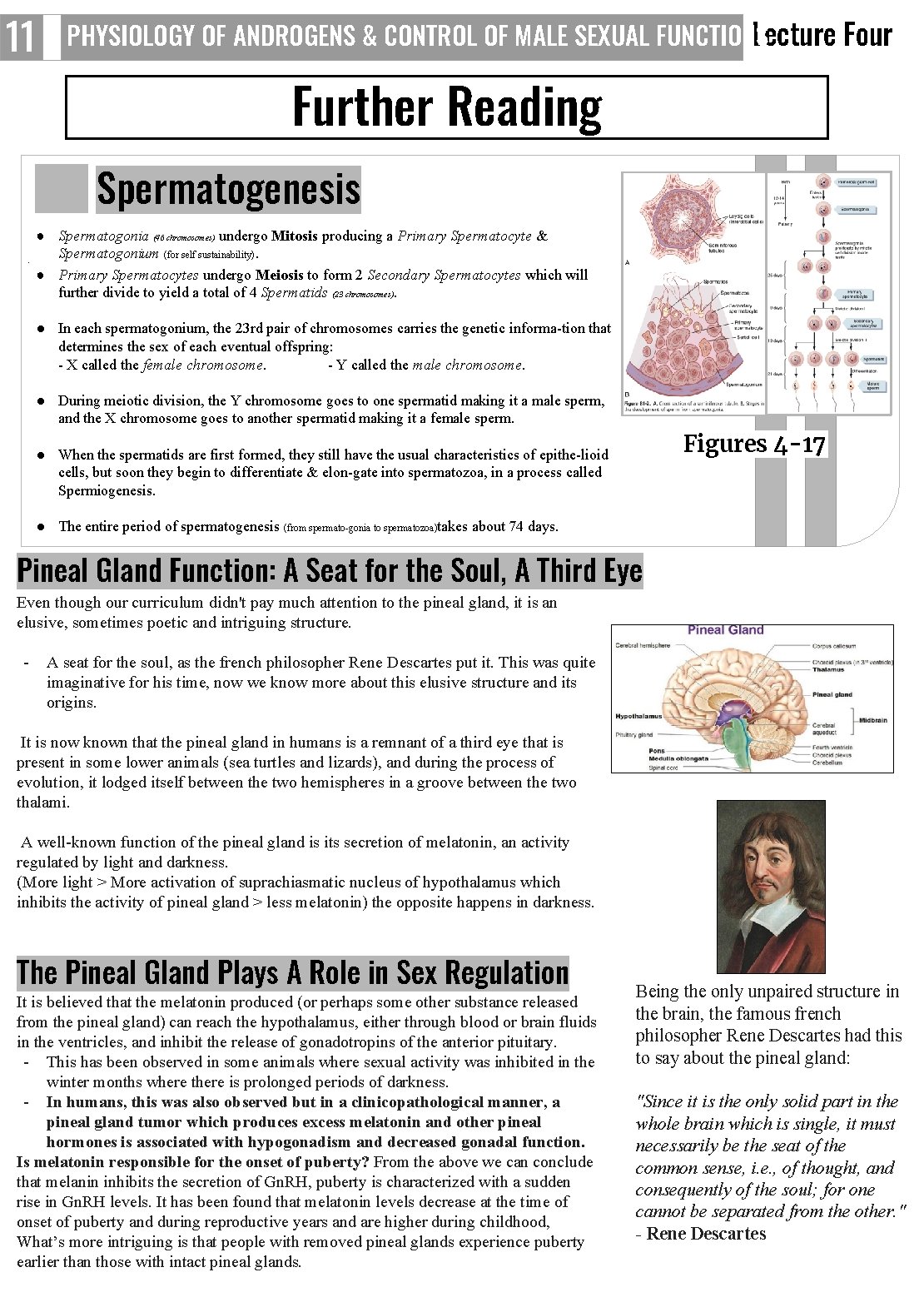 11 PHYSIOLOGY OF ANDROGENS & CONTROL OF MALE SEXUAL FUNCTIONS Lecture Four Further Reading