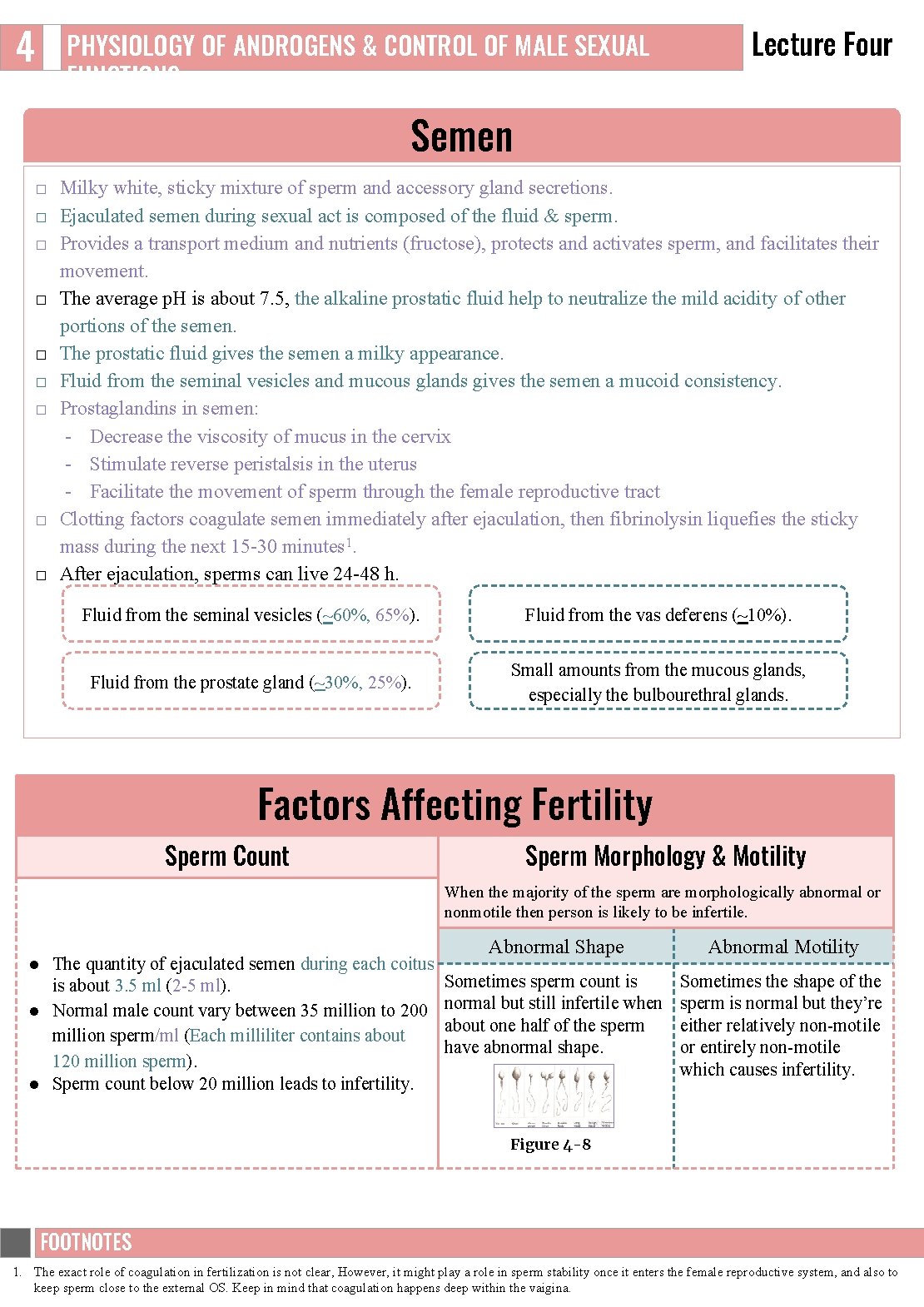 4 PHYSIOLOGY OF ANDROGENS & CONTROL OF MALE SEXUAL FUNCTIONS Lecture Four Semen □