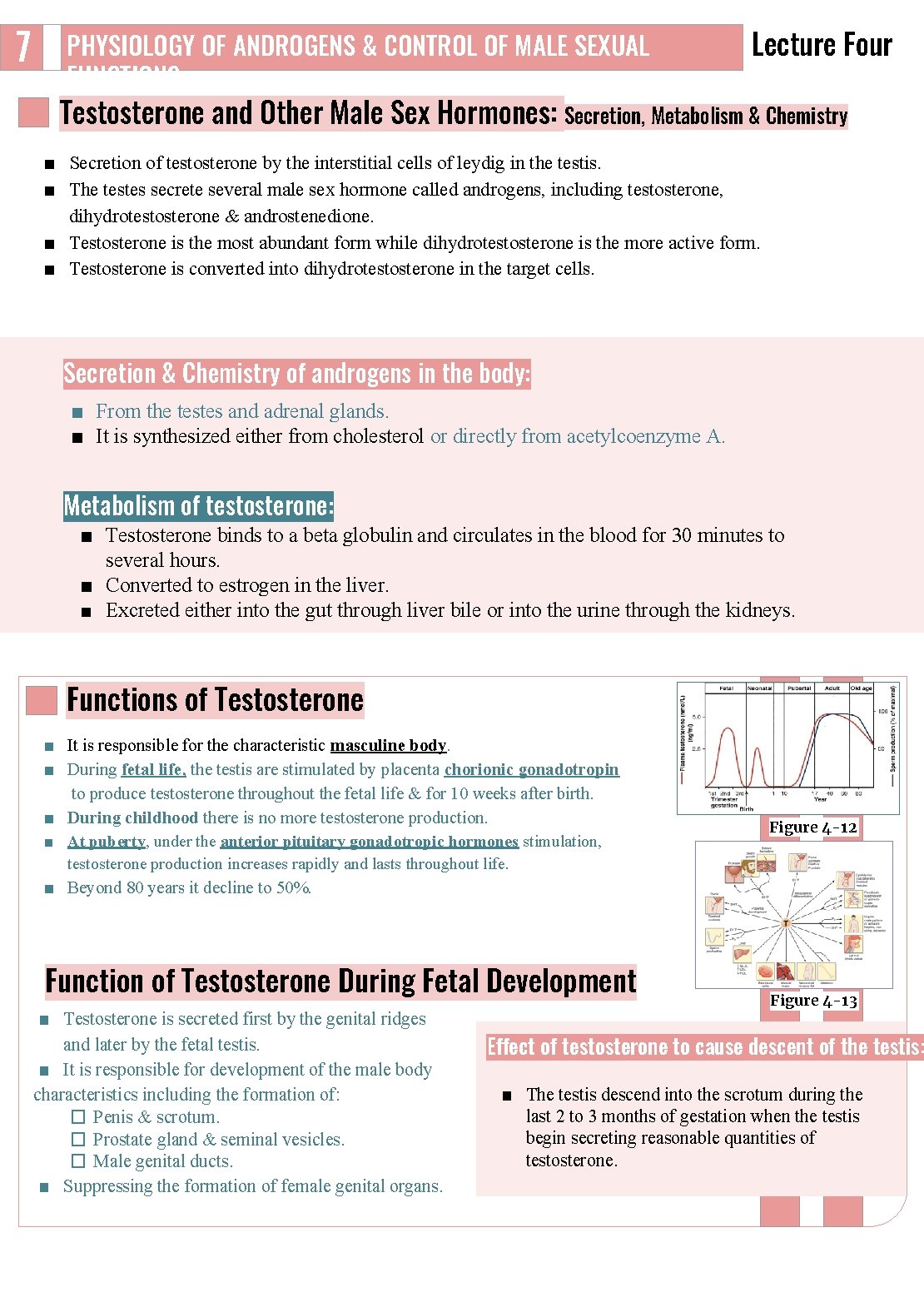 7 PHYSIOLOGY OF ANDROGENS & CONTROL OF MALE SEXUAL FUNCTIONS Lecture Four Testosterone and