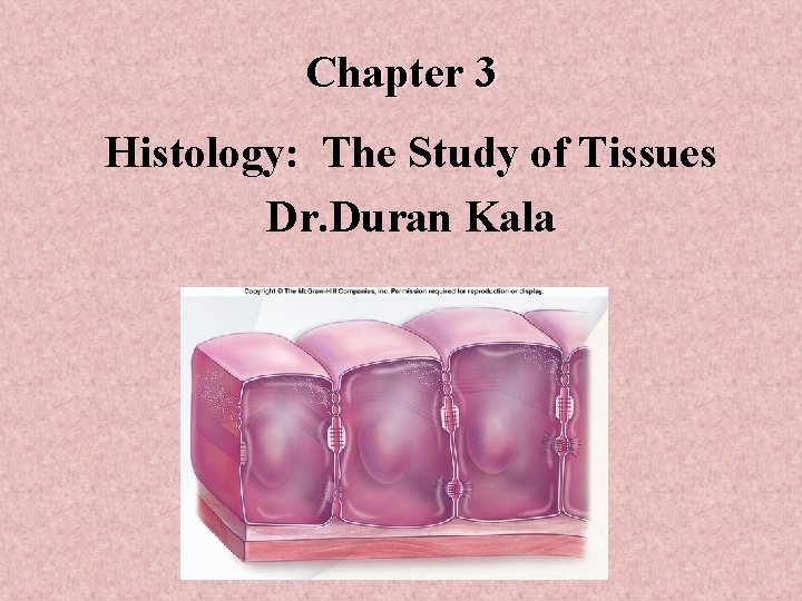 Chapter 3 Histology: The Study of Tissues Dr. Duran Kala 