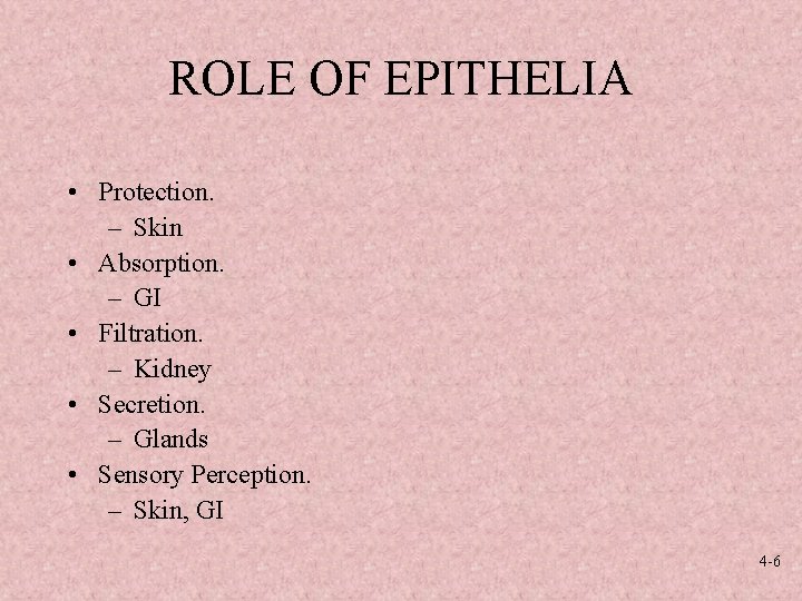 ROLE OF EPITHELIA • Protection. – Skin • Absorption. – GI • Filtration. –