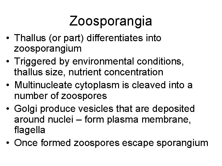 Zoosporangia • Thallus (or part) differentiates into zoosporangium • Triggered by environmental conditions, thallus