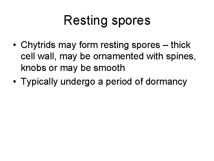 Resting spores • Chytrids may form resting spores – thick cell wall, may be