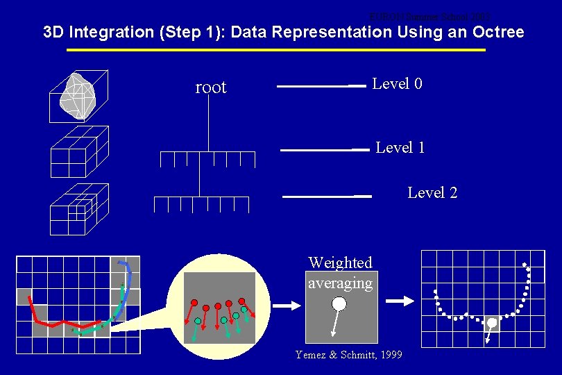 EURON Summer School 2003 3 D Integration (Step 1): Data Representation Using an Octree