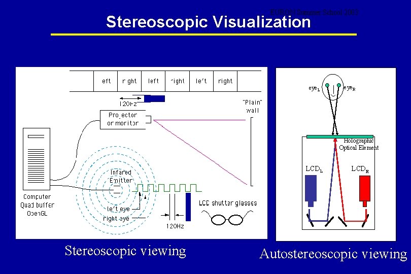 EURON Summer School 2003 Stereoscopic Visualization eye. L eye. R Holographic Optical Element LCDL