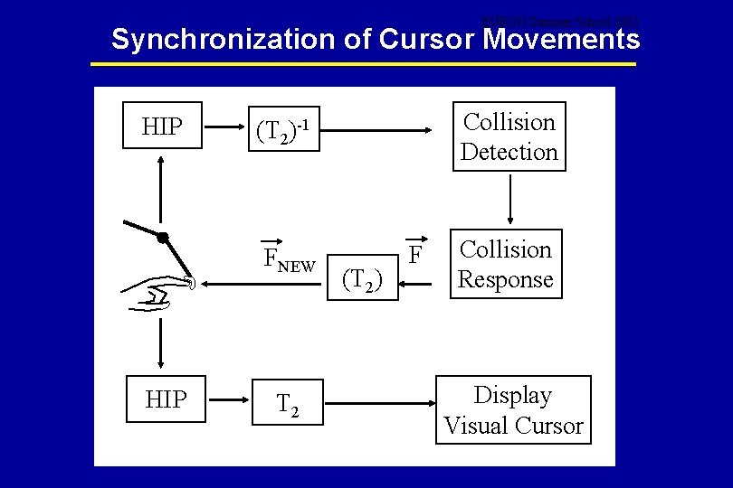 EURON Summer School 2003 Synchronization of Cursor Movements HIP FNEW HIP Collision Detection (T