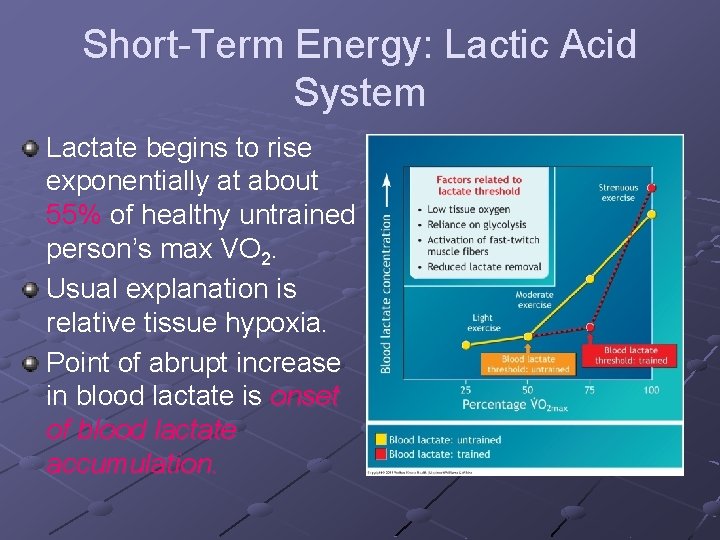 Short-Term Energy: Lactic Acid System Lactate begins to rise exponentially at about 55% of