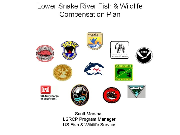 Lower Snake River Fish & Wildlife Compensation Plan Scott Marshall LSRCP Program Manager US