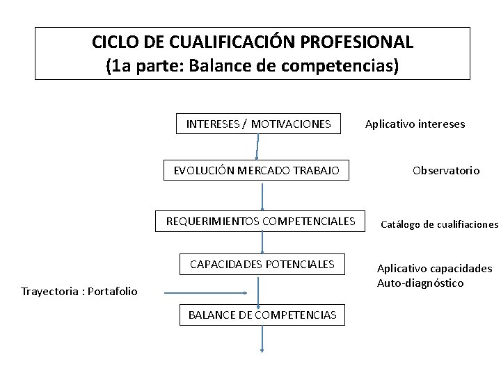CICLO DE CUALIFICACIÓN PROFESIONAL (1 a parte: Balance de competencias) INTERESES / MOTIVACIONES EVOLUCIÓN