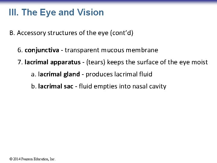 III. The Eye and Vision B. Accessory structures of the eye (cont’d) 6. conjunctiva