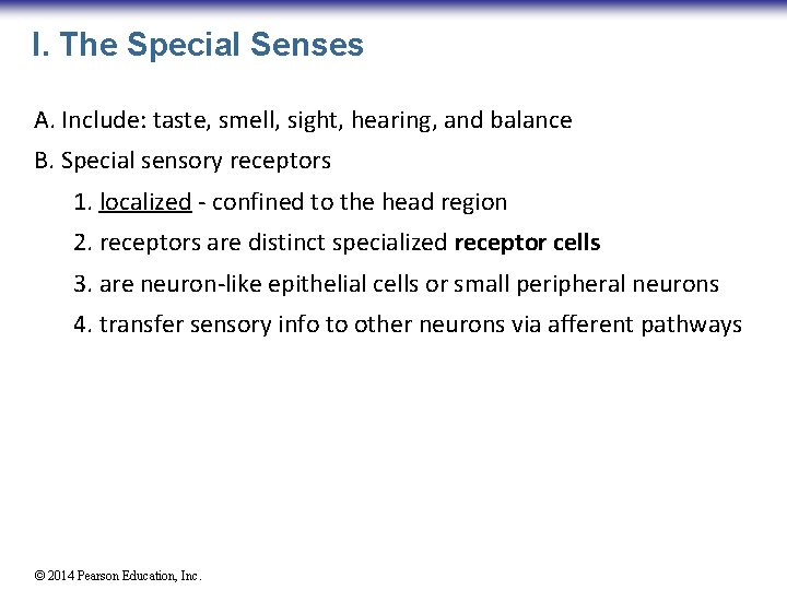 I. The Special Senses A. Include: taste, smell, sight, hearing, and balance B. Special
