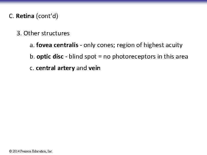 C. Retina (cont’d) 3. Other structures a. fovea centralis - only cones; region of