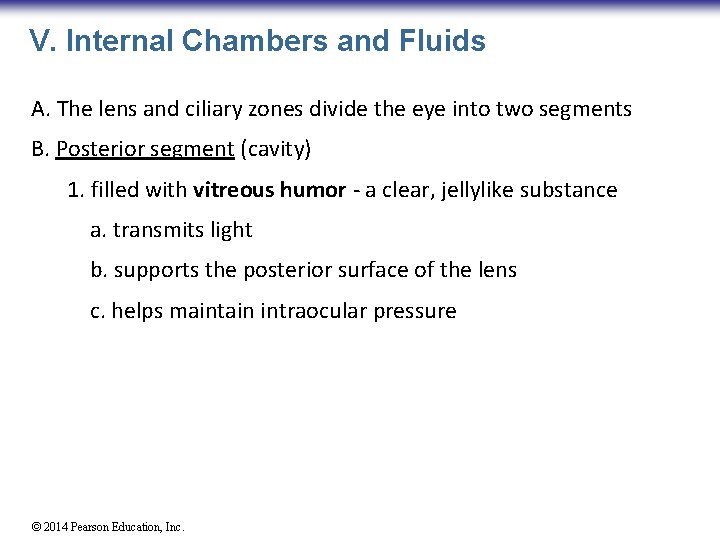 V. Internal Chambers and Fluids A. The lens and ciliary zones divide the eye