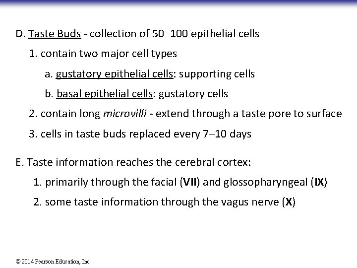 D. Taste Buds - collection of 50– 100 epithelial cells 1. contain two major