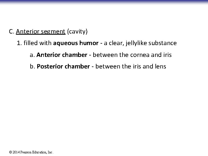 C. Anterior segment (cavity) 1. filled with aqueous humor - a clear, jellylike substance