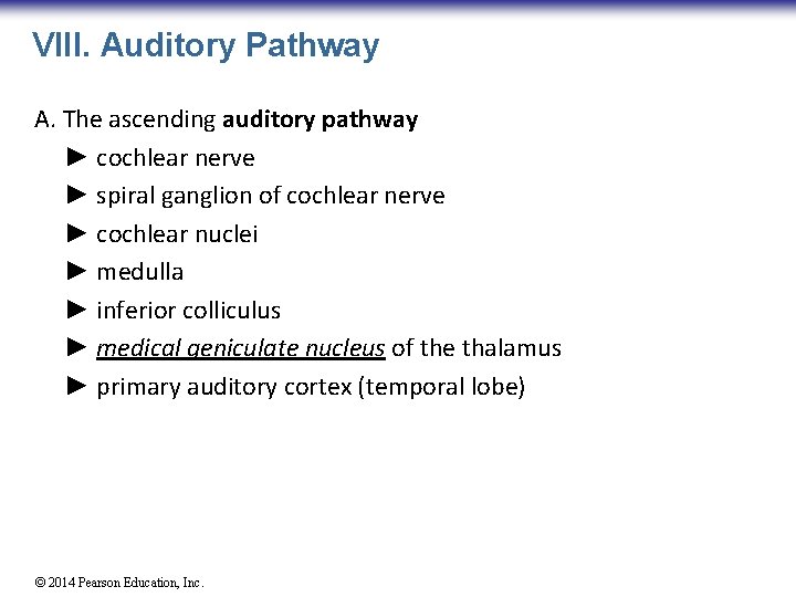 VIII. Auditory Pathway A. The ascending auditory pathway ► cochlear nerve ► spiral ganglion