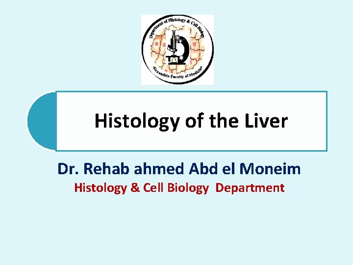 Histology of the Liver Dr. Rehab ahmed Abd el Moneim Histology & Cell Biology