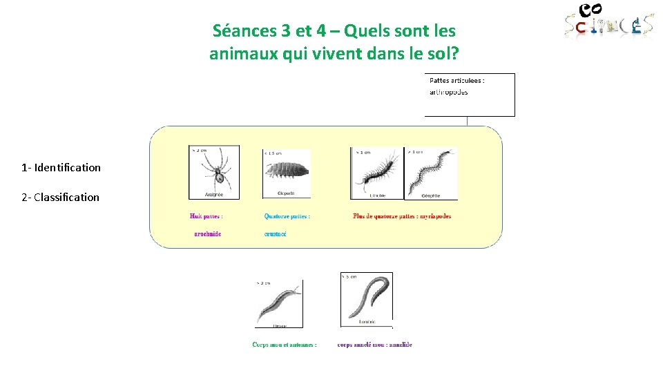 Séances 3 et 4 – Quels sont les animaux qui vivent dans le sol?