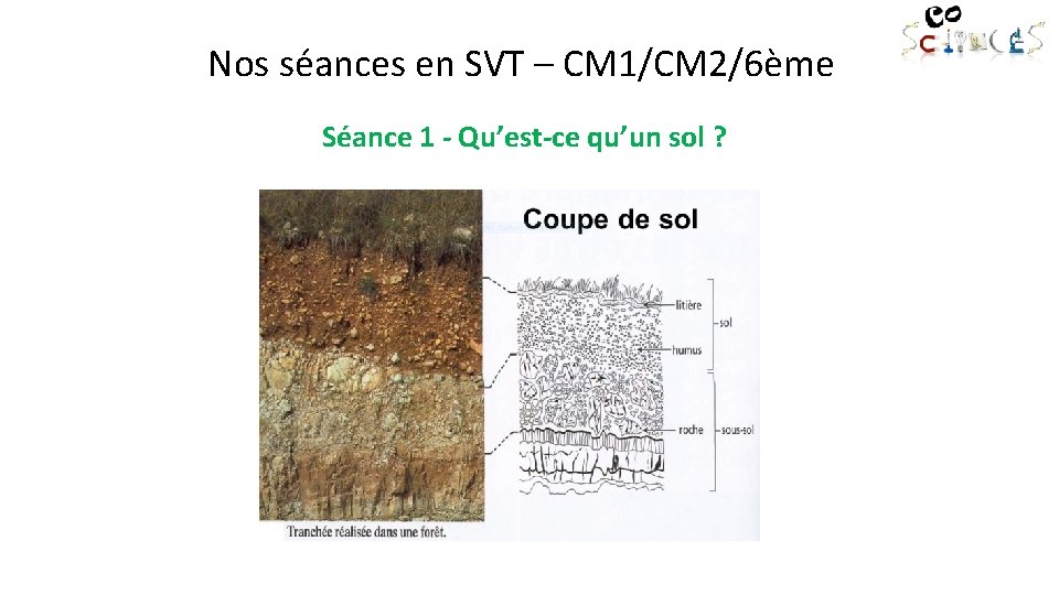 Nos séances en SVT – CM 1/CM 2/6ème Séance 1 - Qu’est-ce qu’un sol