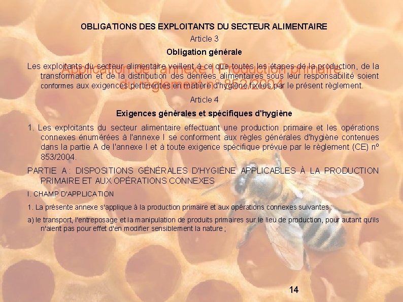 OBLIGATIONS DES EXPLOITANTS DU SECTEUR ALIMENTAIRE Article 3 Obligation générale Application de l'annexe I