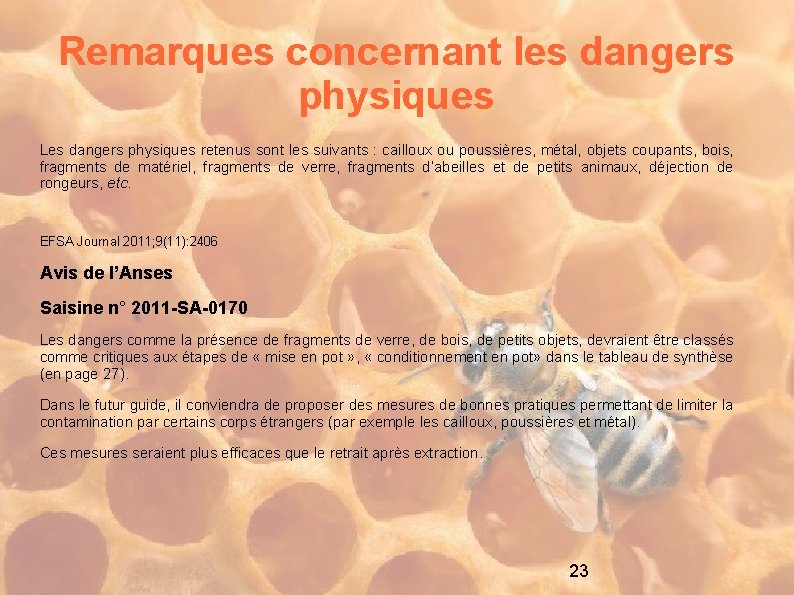 Remarques concernant les dangers physiques Les dangers physiques retenus sont les suivants : cailloux