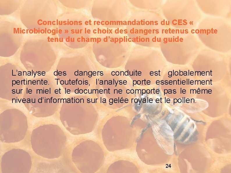 Conclusions et recommandations du CES « Microbiologie » sur le choix des dangers retenus