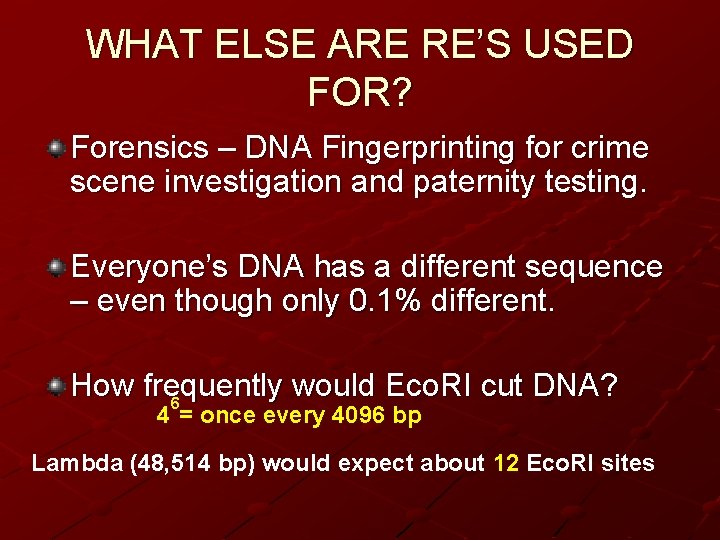 WHAT ELSE ARE RE’S USED FOR? Forensics – DNA Fingerprinting for crime scene investigation