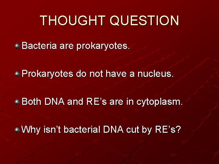 THOUGHT QUESTION Bacteria are prokaryotes. Prokaryotes do not have a nucleus. Both DNA and