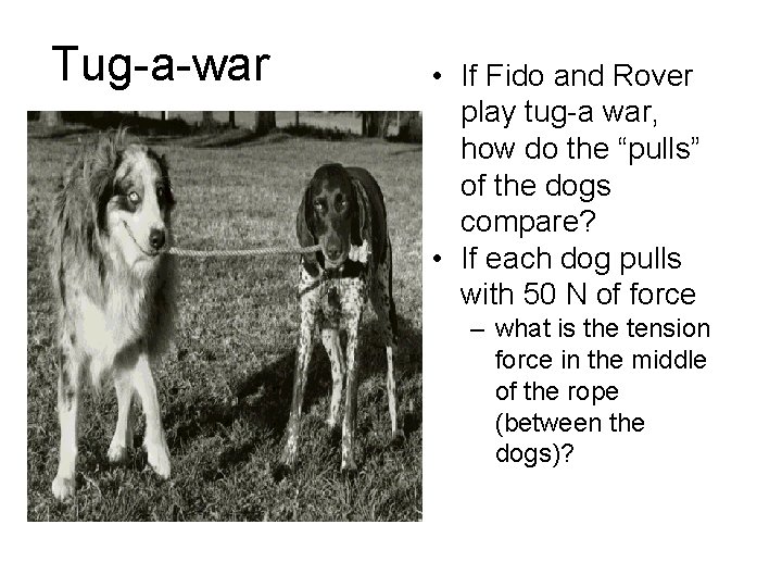 Tug-a-war • If Fido and Rover play tug-a war, how do the “pulls” of