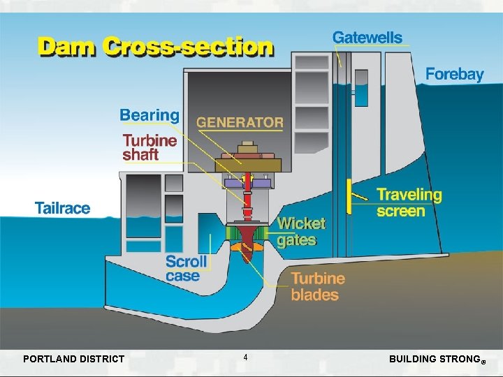 PORTLAND DISTRICT 4 BUILDING STRONG® PORTLAND DISTRICT 4 BUILDING STRONG®