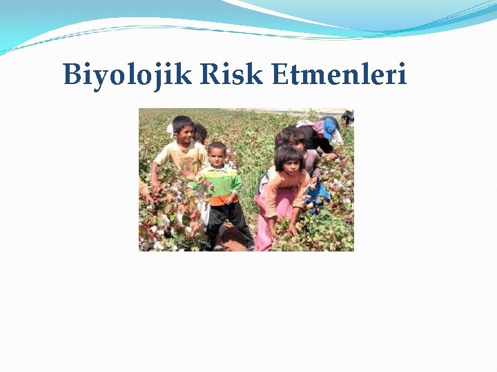 Biyolojik Risk Etmenleri 