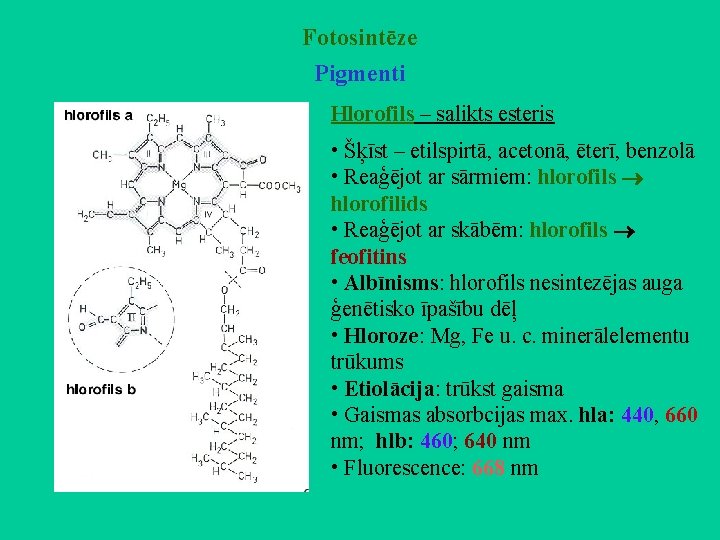Fotosintēze Pigmenti Hlorofils – salikts esteris • Šķīst – etilspirtā, acetonā, ēterī, benzolā •