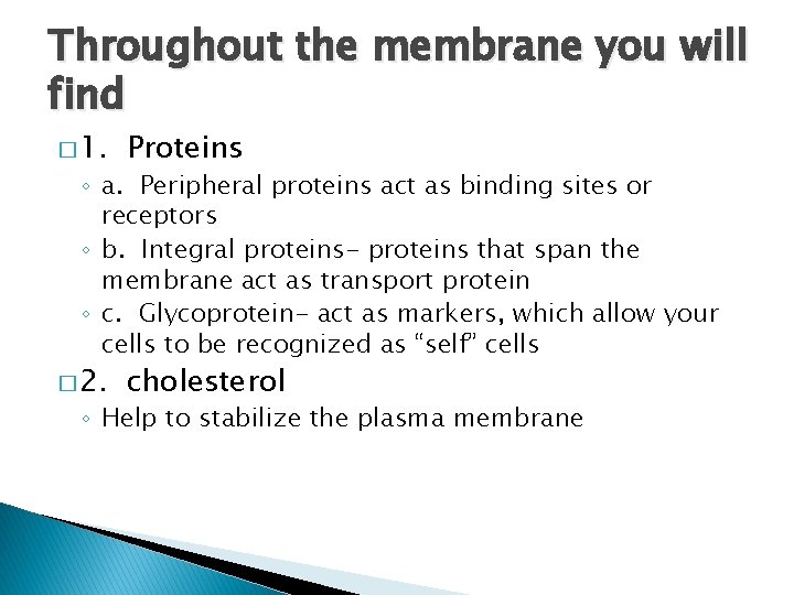 Throughout the membrane you will find � 1. Proteins � 2. cholesterol ◦ a.