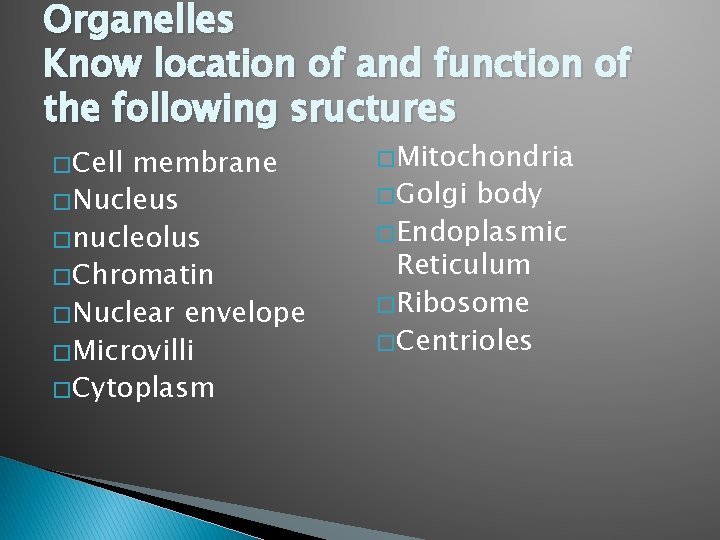 Organelles Know location of and function of the following sructures � Cell membrane �