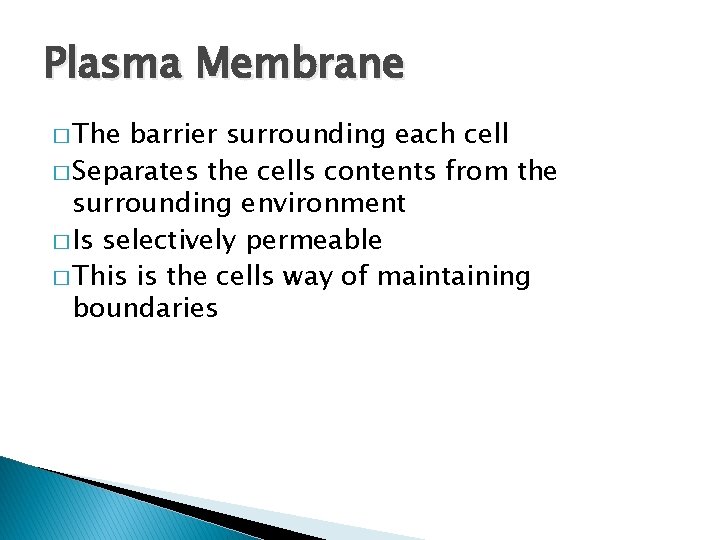 Plasma Membrane � The barrier surrounding each cell � Separates the cells contents from