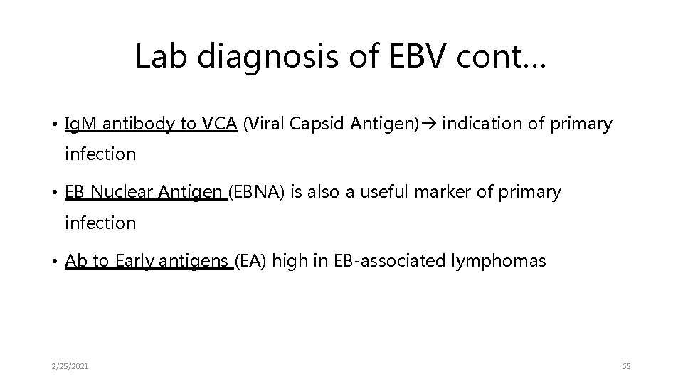 Lab diagnosis of EBV cont… • Ig. M antibody to VCA (Viral Capsid Antigen)