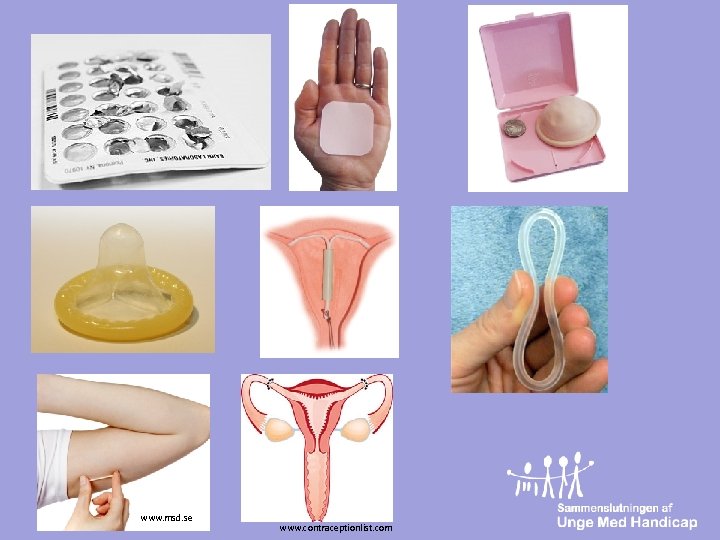 www. msd. se www. contraceptionlist. com 
