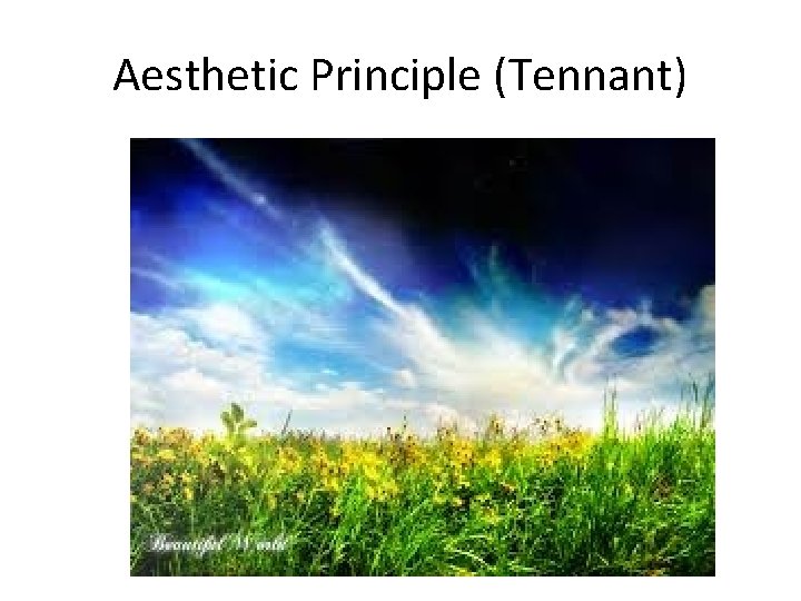 Aesthetic Principle (Tennant) 