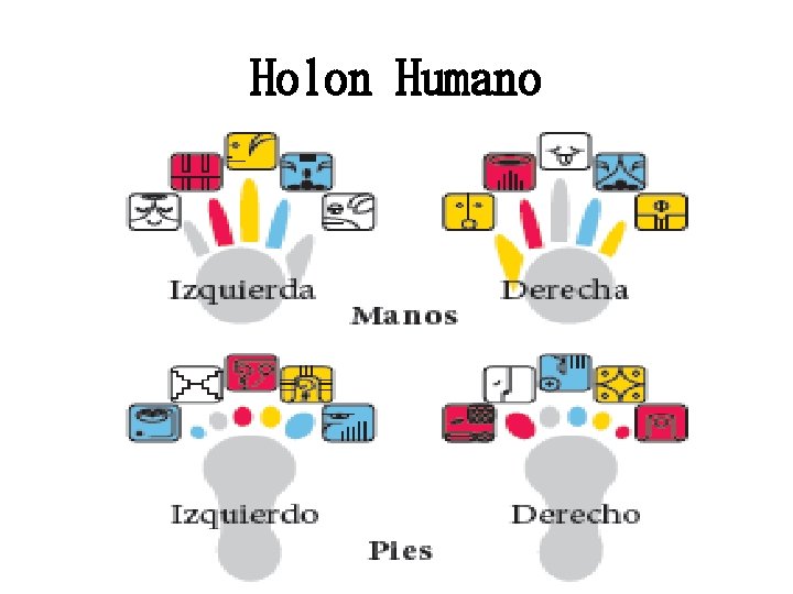 Holon Humano 