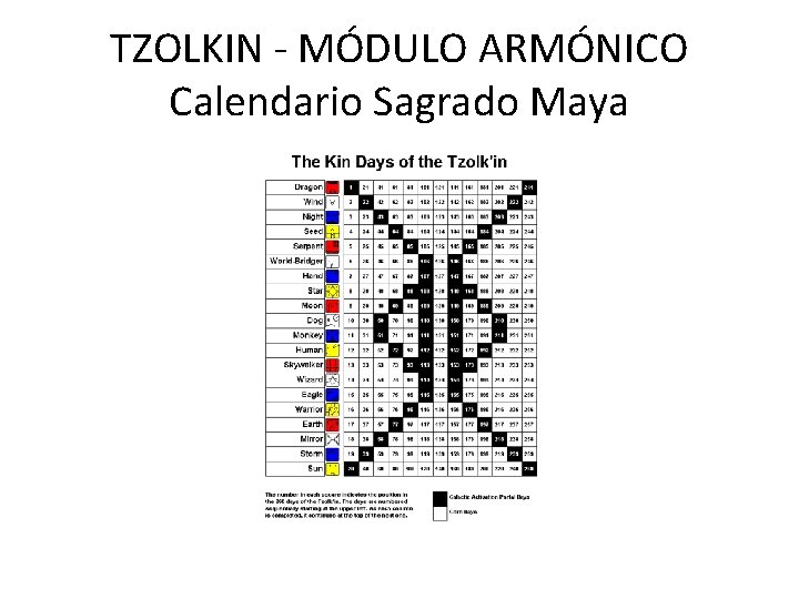 TZOLKIN - MÓDULO ARMÓNICO Calendario Sagrado Maya 